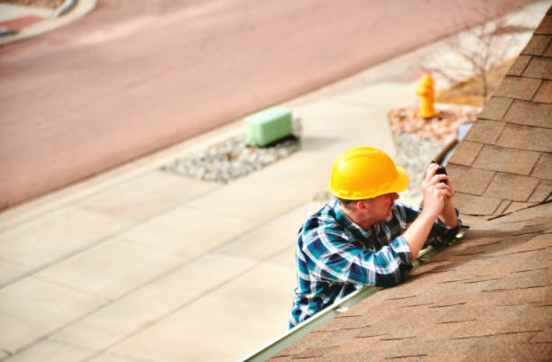 Best Flat Roof Repair Services  in Chisholm, MN