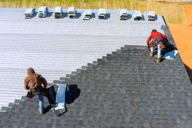 Best Emergency Roof Repair  in Chisholm, MN